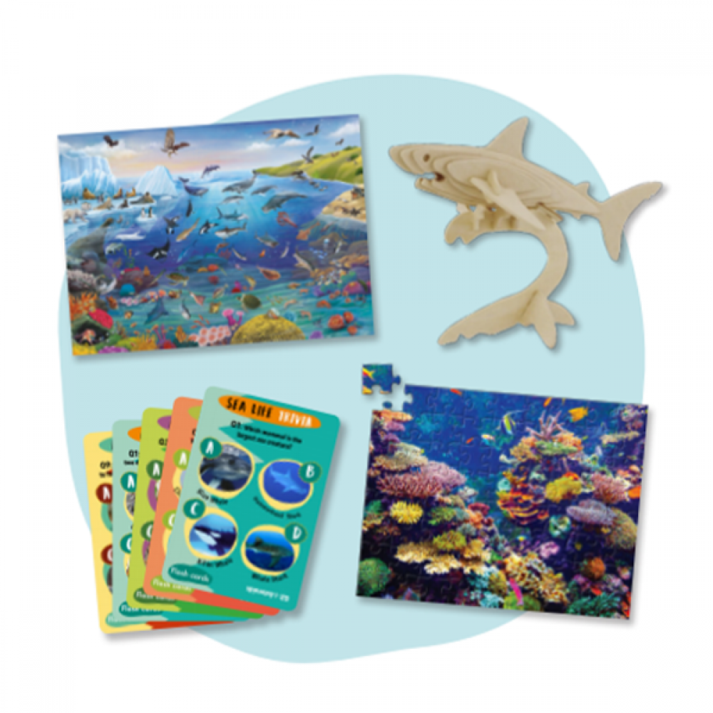 Amazing Ocean Life Activity Set – Lollipop's Toys