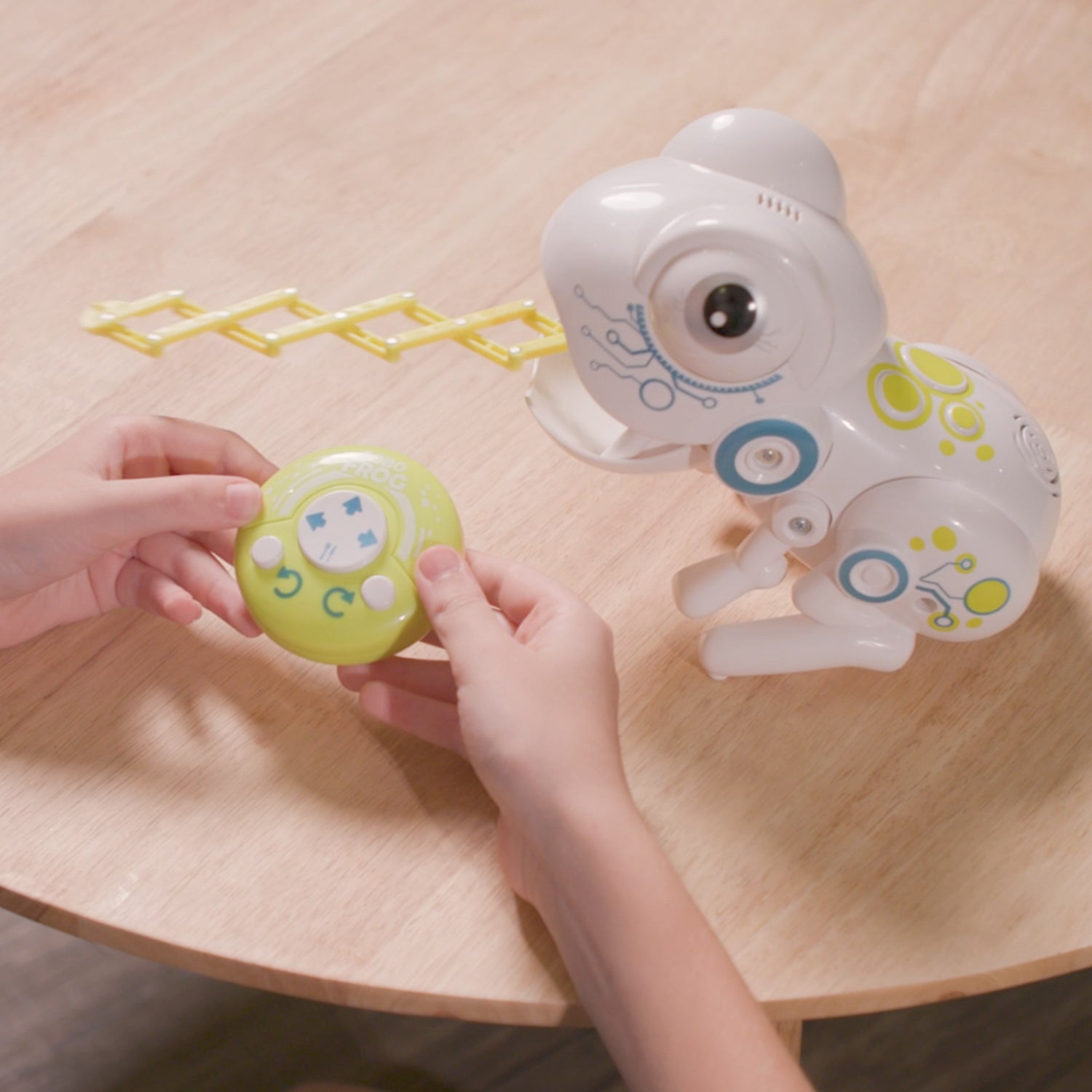 Robo Frog YCOO – Lollipop's Toys